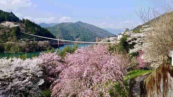 集落活動センター奥物部